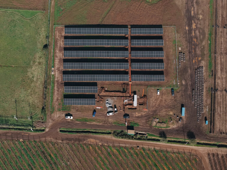 Solfrut - Rising Sun energía solar para empresas 00030